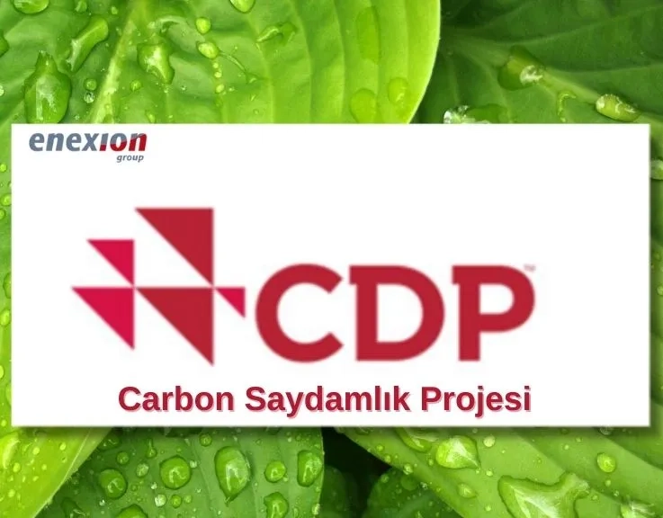 CDP (Karbon Saydamlık Projesi) Nedir? Neden Gereklidir?