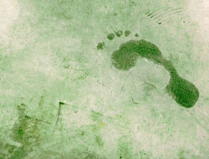 EU EcoLabel (AB Eko Etiket) Nedir, Neden Kullanılır?