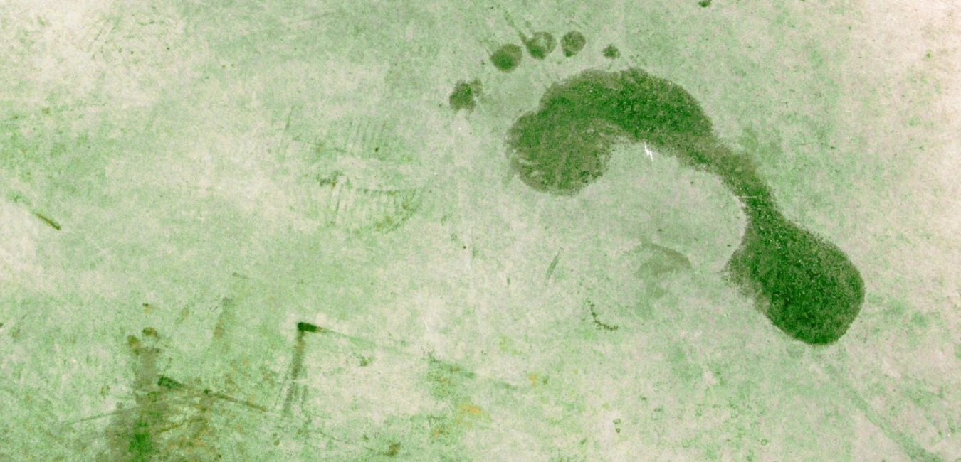 ISO 14064 Kurumsal Karbon Ayak İzi Danışmanlığı