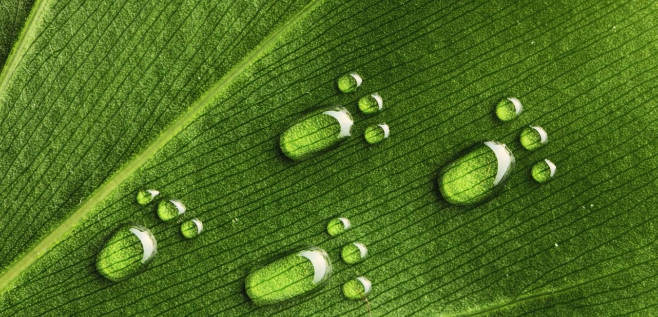 ISO 14046 Kurumsal Su Ayak İzi Standardı