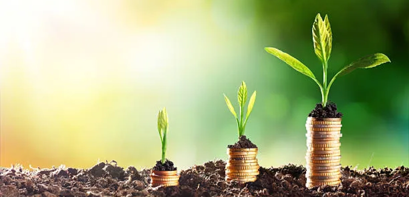 ISSB: IFRS S1 ve IFRS S2 Finansal Raporlama Standartları