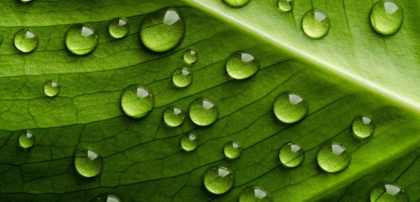 ASI Sertifikasyonu- Aluminium Stewardship Initiative (Green Aluminium)