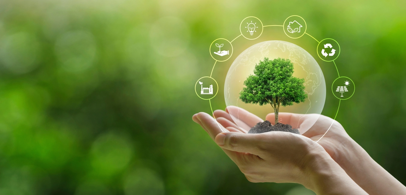 Strategic Smart Greening® Roadmap