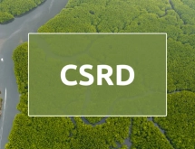 AB Kurumsal Sürdürülebilirlik Raporlama Yönergesi - CSRD