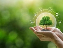 Strategic Smart Greening® Roadmap